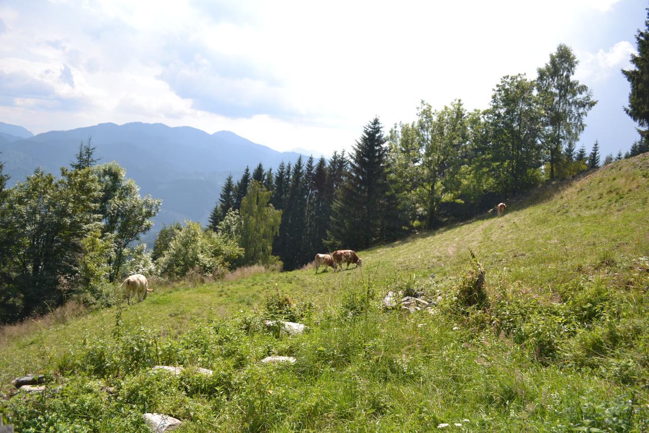 Gasthof Oberer Gesslbauer Stanz Im Murztal Esterno foto