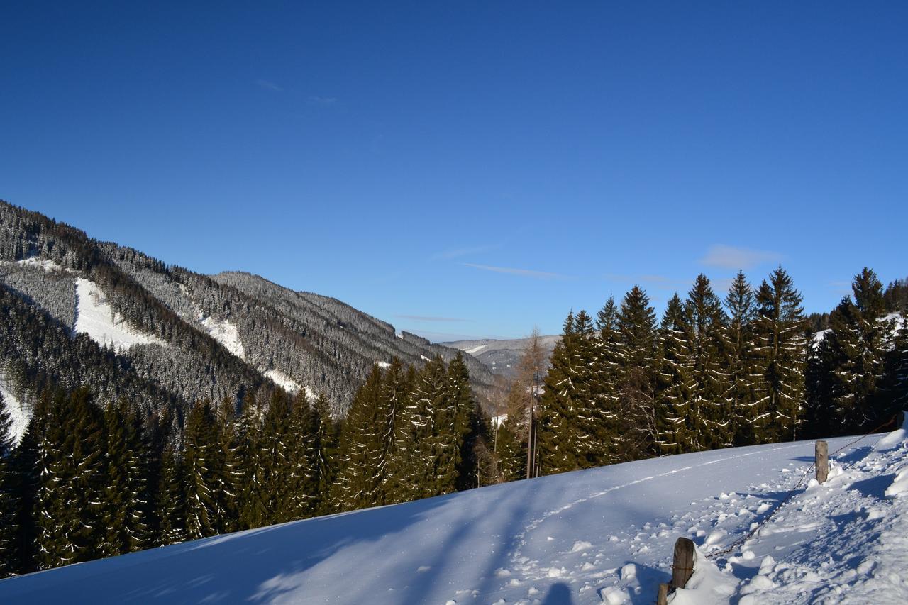 Gasthof Oberer Gesslbauer Stanz Im Murztal Esterno foto
