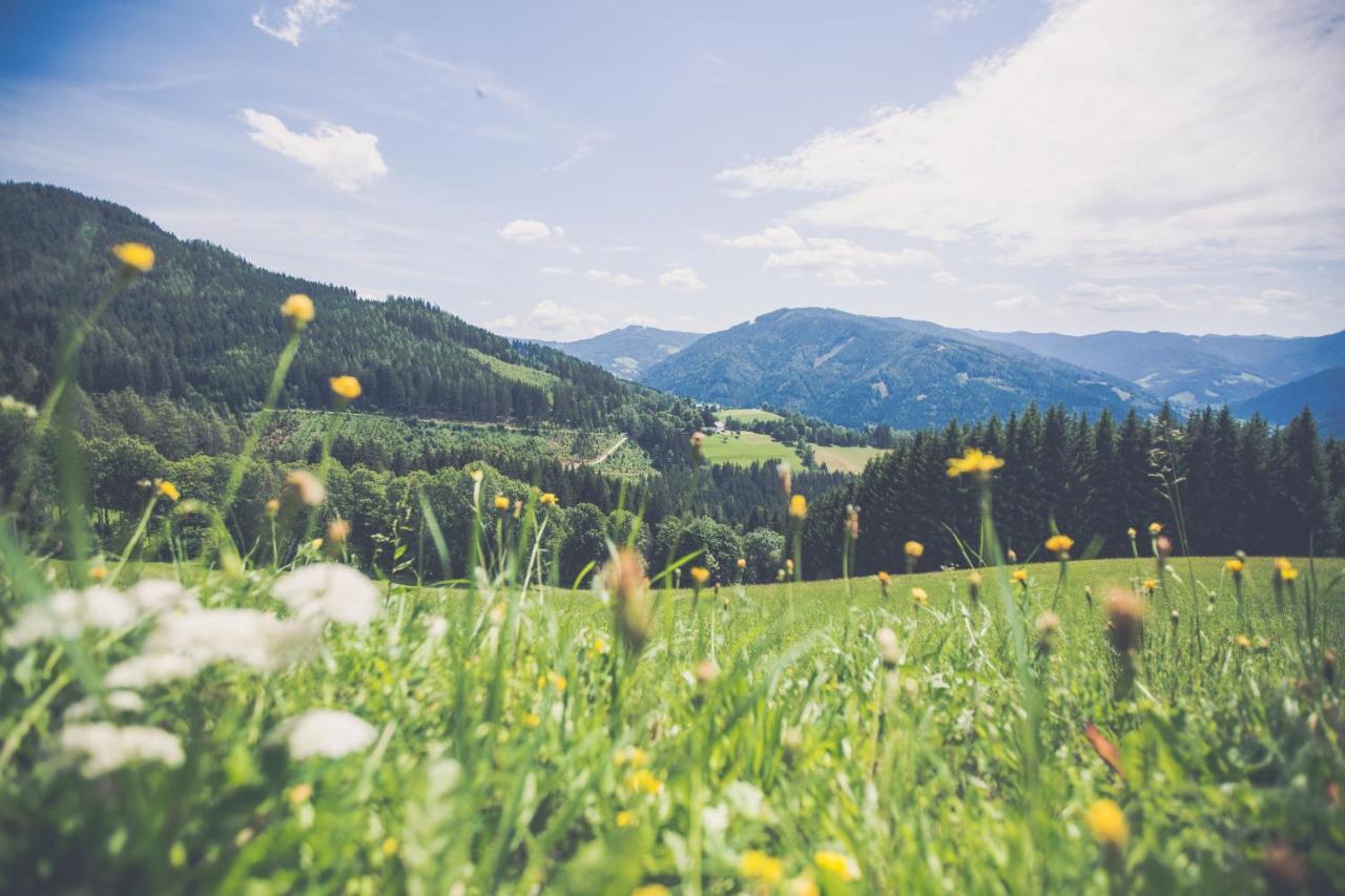 Gasthof Oberer Gesslbauer Stanz Im Murztal Esterno foto