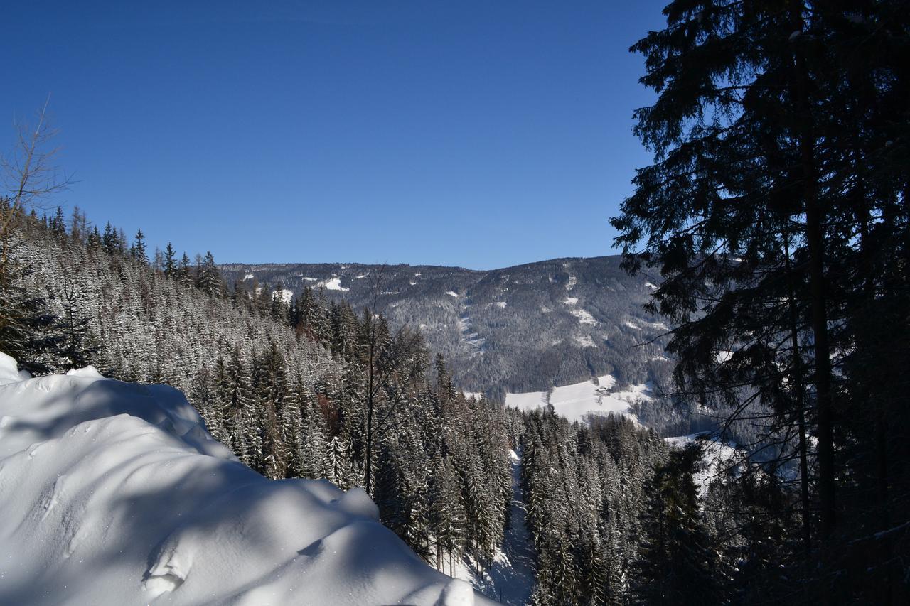 Gasthof Oberer Gesslbauer Stanz Im Murztal Esterno foto